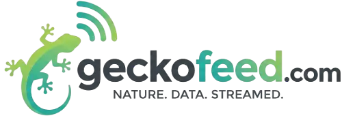GeckoFeed – Trends That Matter
